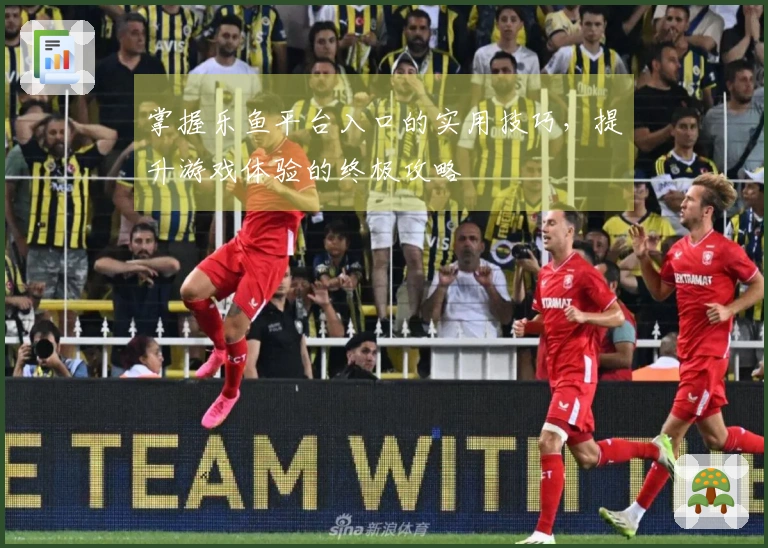 掌握乐鱼平台入口的实用技巧，提升游戏体验的终极攻略