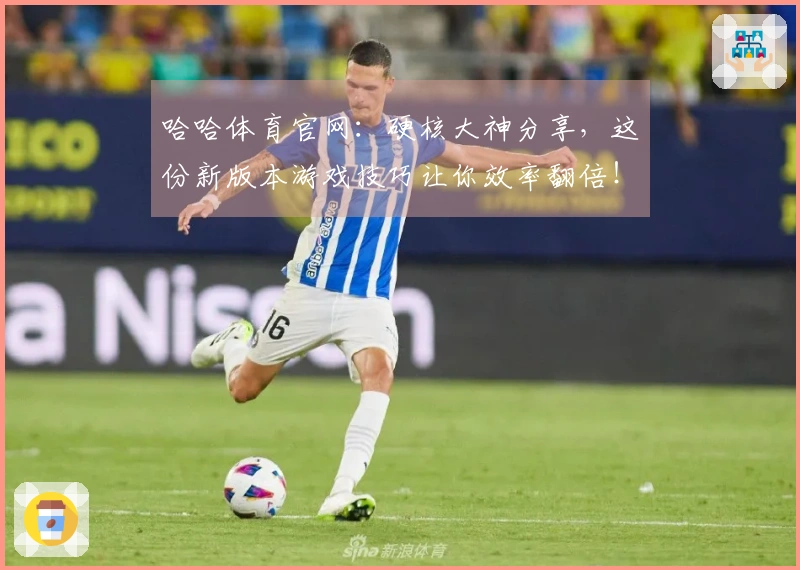 哈哈体育官网：硬核大神分享，这份新版本游戏技巧让你效率翻倍！