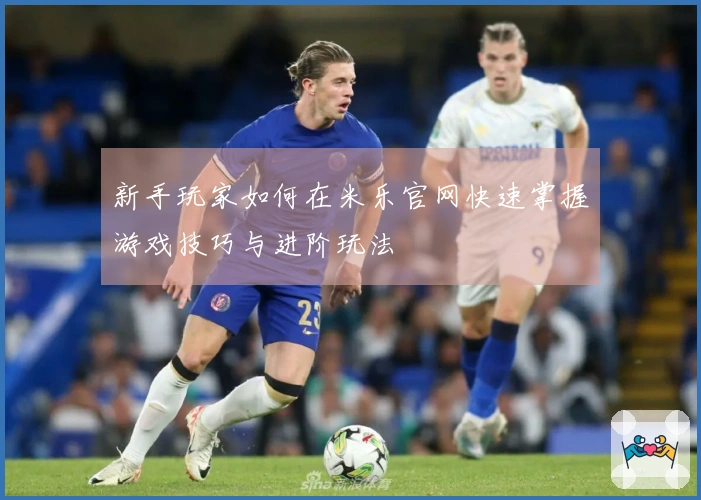 新手玩家如何在米乐官网快速掌握游戏技巧与进阶玩法